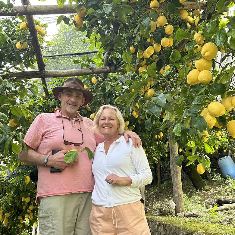 smeraldo cura limoni