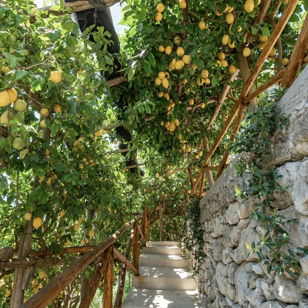 tour giardino liquorificiio dello smeraldo amalfi scale